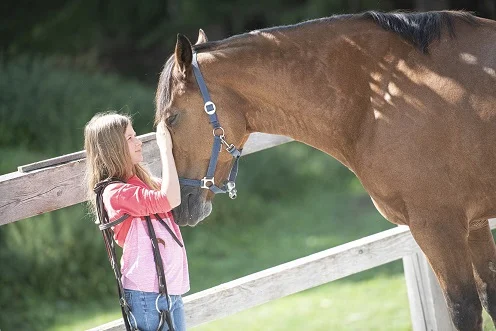 équitation camps d'été du hif